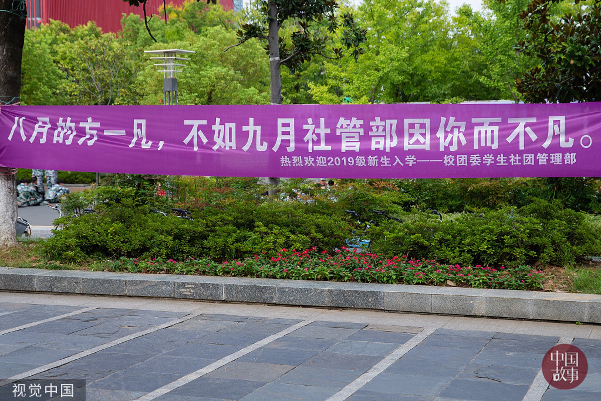 旧房翻新：从破败到温馨的重生之旅